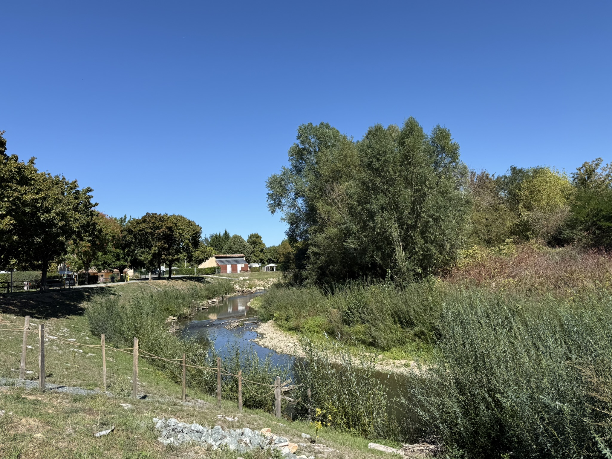 IMG_6743