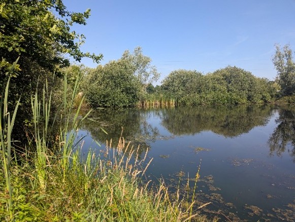 Image14