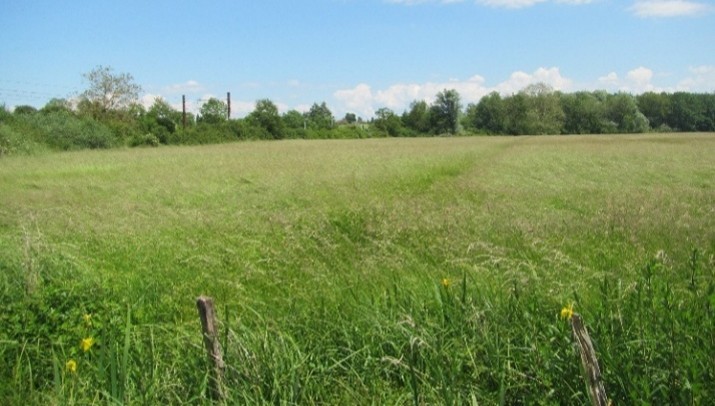 Image19