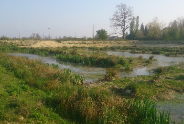 Image25